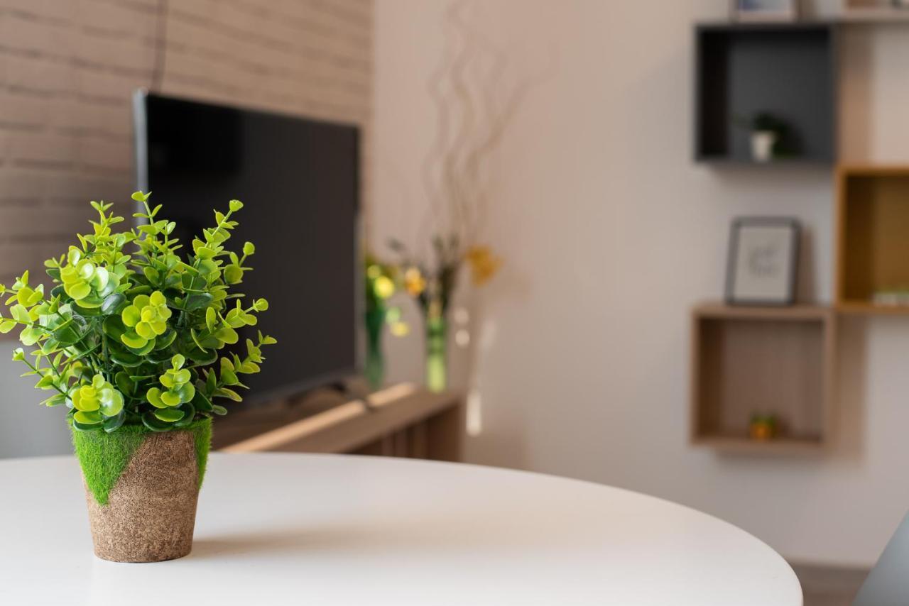 Art Apartment Târgu-Mureş Buitenkant foto