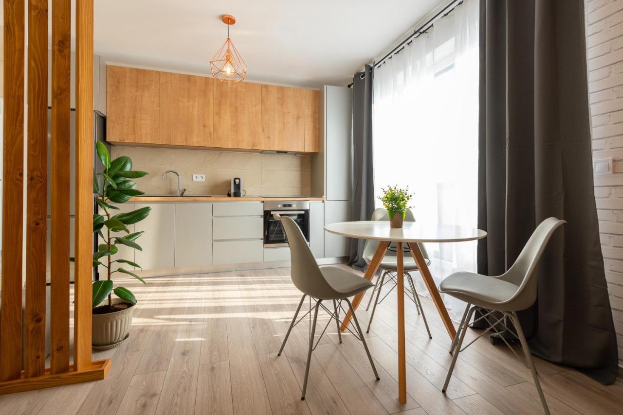Art Apartment Târgu-Mureş Buitenkant foto